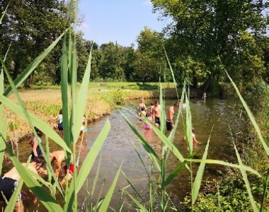 Cascina Salazzara - Gallery Il bosco e la campagna